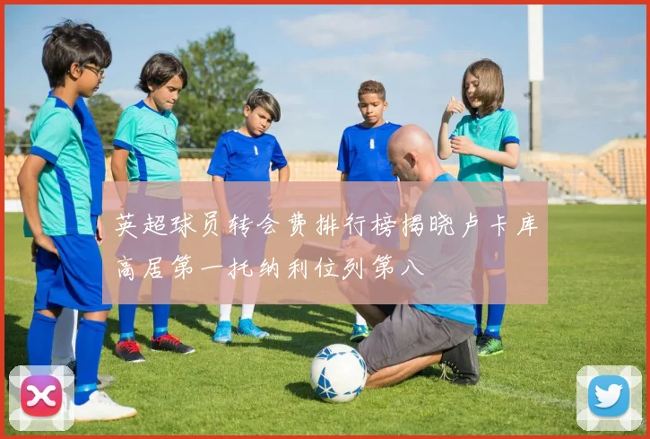 英超球员转会费排行榜揭晓卢卡库高居第一托纳利位列第八